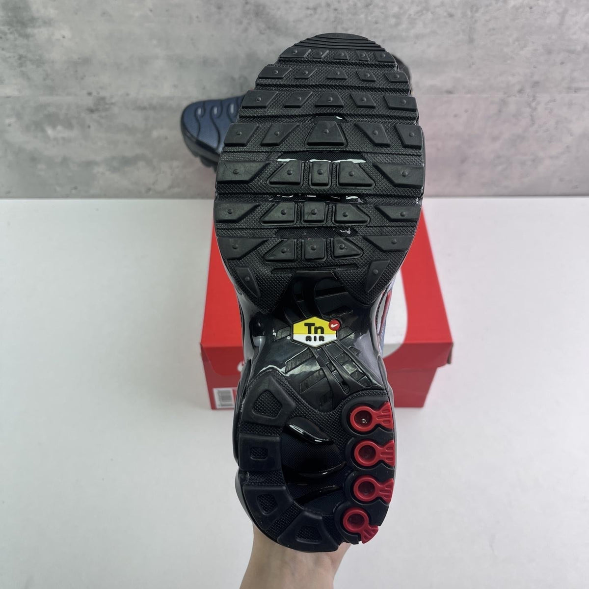 Nike Air Max Plus Tn