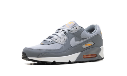 Air Max 90 "Cool Grey Sundial" HV6224 002