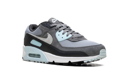Air Max 90 "Pumice" DM0029 009