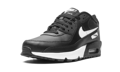 Air Max 90 LTR (GS) "Black White" CD6864 010