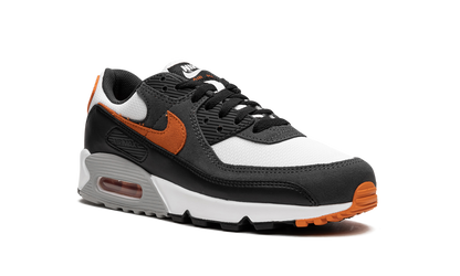 Air Max 90 "Starfish" DM0029 101