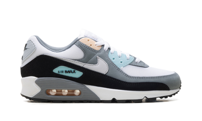 Air Max 90 "Cool Grey Pure Platinum Black" IB7674 001