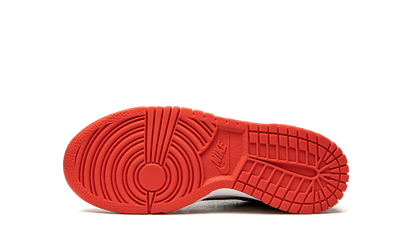 Dunk Low GS "NBA - Chicago Bulls" DO6288 100