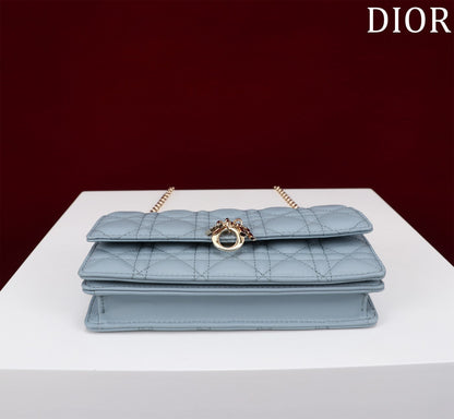 my cd mini 21 rock gray lambskin