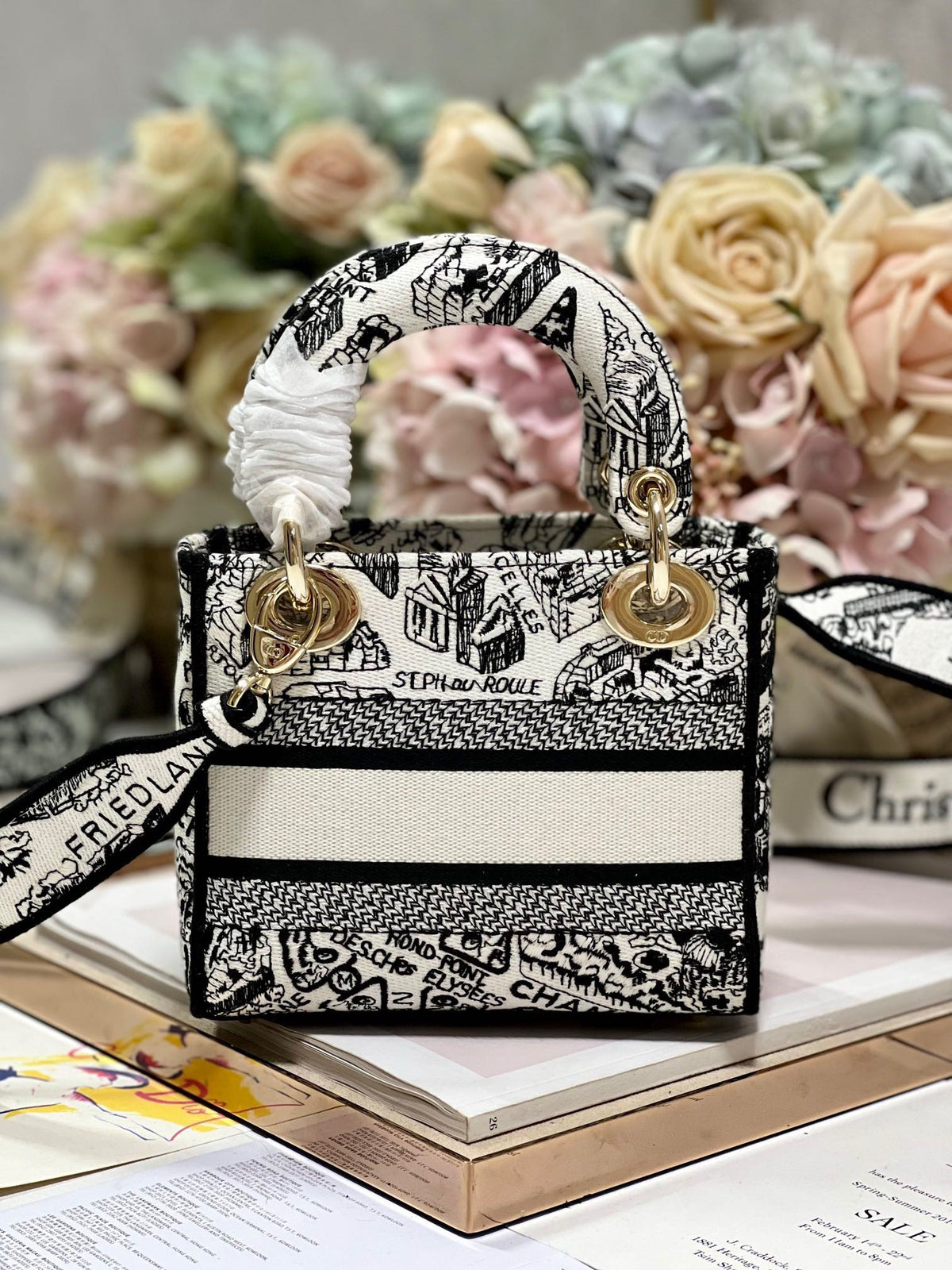 CD Paris White 17 Lady Dior Bag Canvas 336756