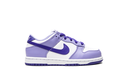 Dunk Low PS "Blueberry" DZ4457 100