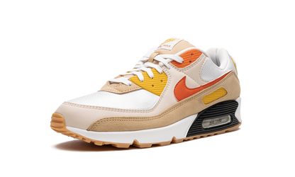 Air Max 90 "Pressure" FB4315 100