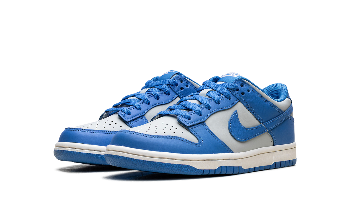 Dunk Low GS "Light Photo Blue" FB9109 004
