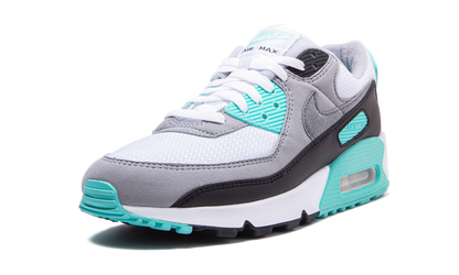 Air Max 90 "Turquoise" CD0881 100