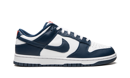 Dunk Low Retro "USA" DD1391 400