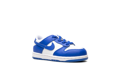 Dunk Low TD "Kentucky 2025" FB9107 131