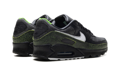 Air Max 90 "Tiempo 2005" IU0523 010