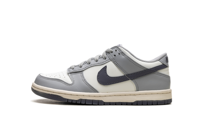 Dunk Low "Light Carbon" FB9109 101
