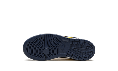 Dunk Low PS "Michigan" CW1588 700