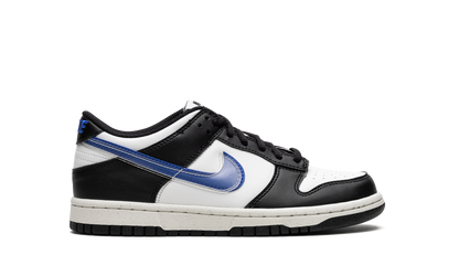 Dunk Low Next Nature GS "TPU Swoosh" FD0689 001