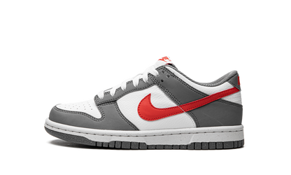 Dunk Low Next Nature GS "Smoke Grey" FB8038 001