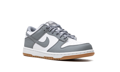 Dunk Low GS "Reflective Grey" FV0374 100