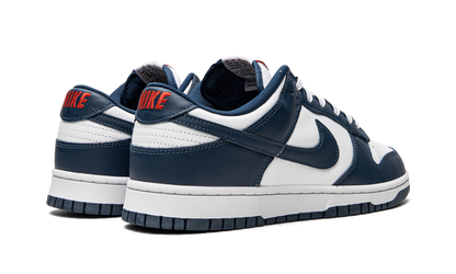 Dunk Low Retro "USA" DD1391 400