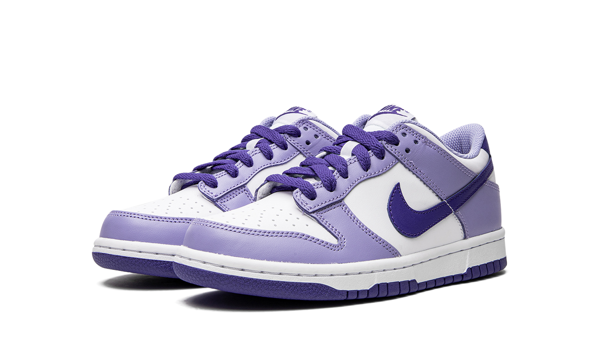 Dunk Low GS "Blueberry" DZ4456 100
