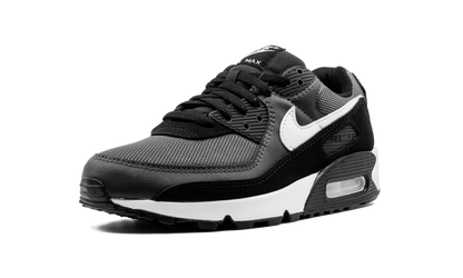 Air Max 90 "Iron Grey" CN8490 002