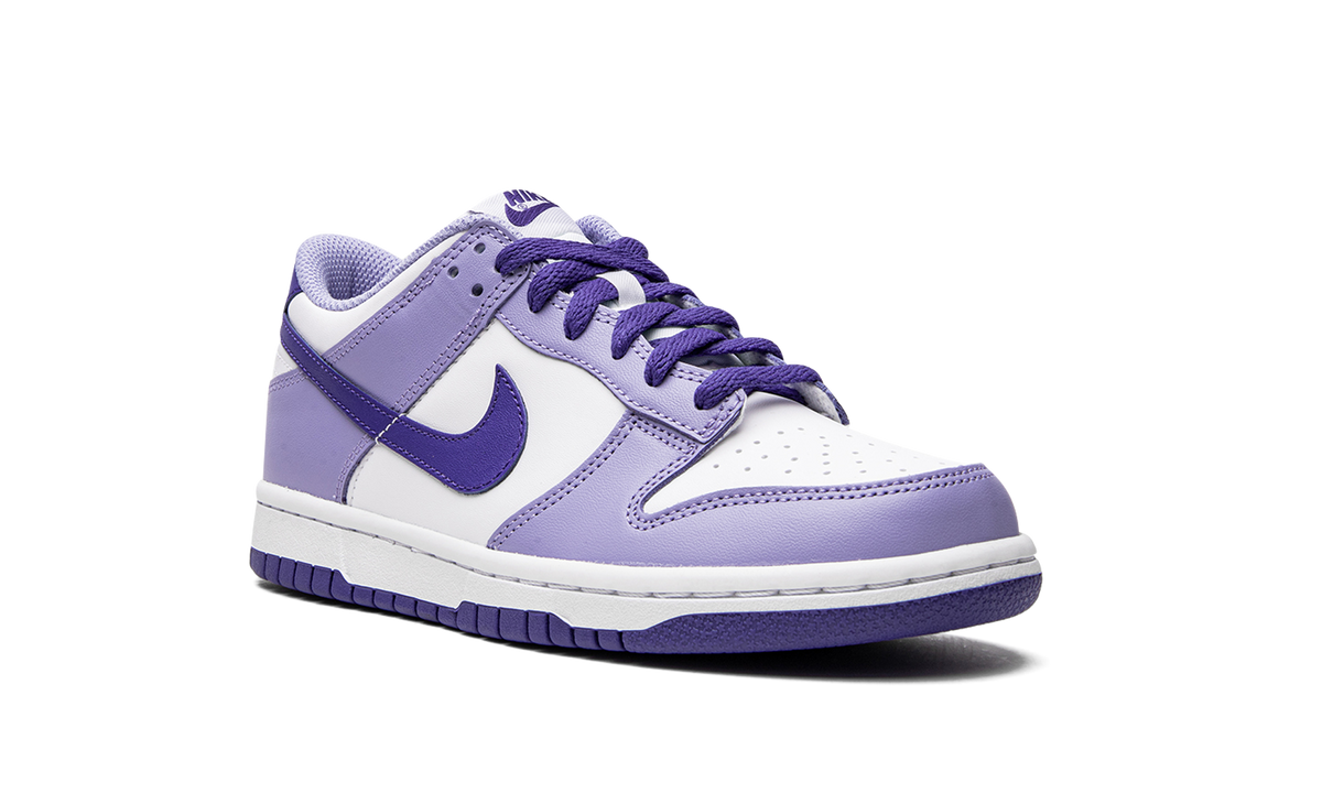 Dunk Low GS "Blueberry" DZ4456 100