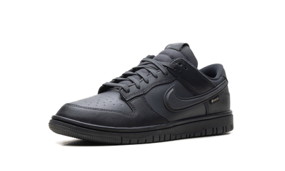 Dunk Low Gore-Tex "Triple Black" HQ2053 001