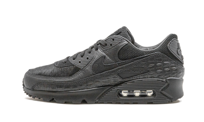 Air Max 90 "Animal Pack" CZ5588 002