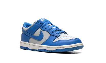 Dunk Low GS "Light Photo Blue" FB9109 004