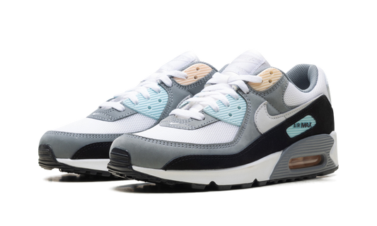 Air Max 90 "Cool Grey Pure Platinum Black" IB7674 001