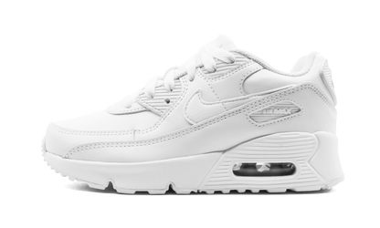 Air Max 90 CD6867 100