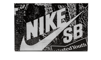 SB Dunk Low "Wasted Youth - Special Box" DD8386 001a