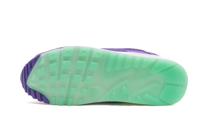 Air Max 90 "Animal Pack - Violet Blend" CZ5588 001