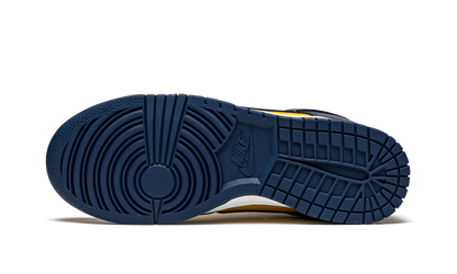 Dunk Low "Michigan" DD1391 700