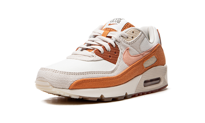 Air Max 90 "Sun Club" DM0036 100