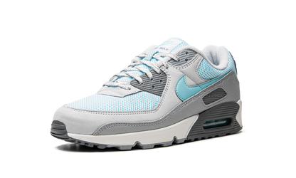 Air Max 90 "Snowflake" DQ0789 001