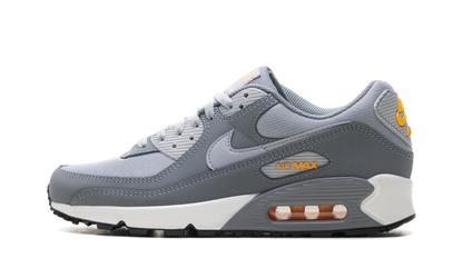 Air Max 90 "Cool Grey Sundial" HV6224 002