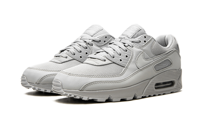Air Max 90 "Wolf Grey" CN8490 001