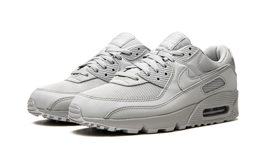 Air Max 90 "Wolf Grey" CN8490 001