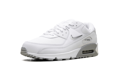 Air Max 90 "Jewel Light Smoke Grey" FN8005 100