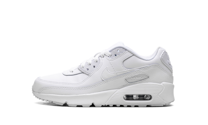 Air Max 90 GS "White Metallic Silver" HF6358 102
