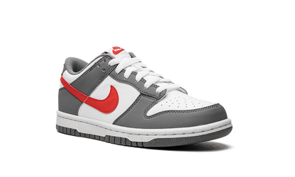 Dunk Low Next Nature GS "Smoke Grey" FB8038 001