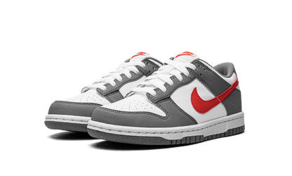 Dunk Low Next Nature GS "Smoke Grey" FB8038 001