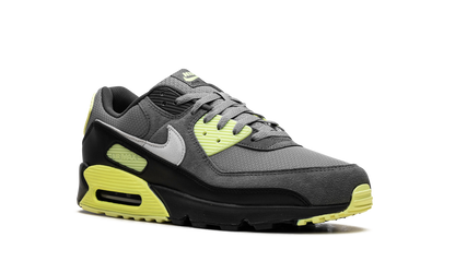 Air Max 90 "Smoke Grey Light Lemon Twist" DM0029 012