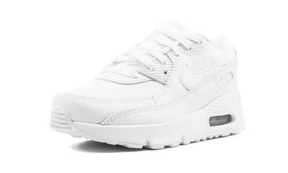 Air Max 90 CD6867 100