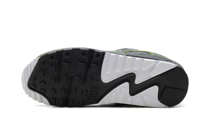 Air Max 90 "Tiempo 2005" IU0523 010