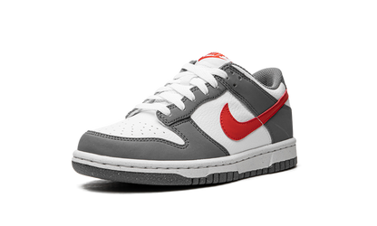 Dunk Low Next Nature GS "Smoke Grey" FB8038 001