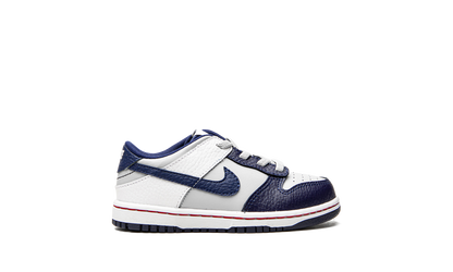 Dunk Low TD "Nets" DC9562 001