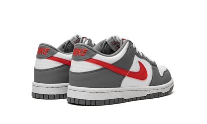 Dunk Low Next Nature GS "Smoke Grey" FB8038 001