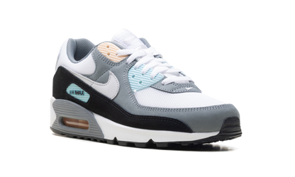 Air Max 90 "Cool Grey Pure Platinum Black" IB7674 001