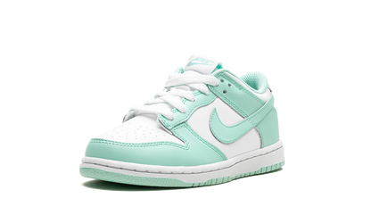Nike Dunk Low "Mint Foam" FZ3536 100